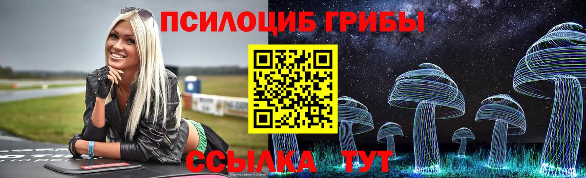 Псилоцибиновые грибы Cubensis Тейково
