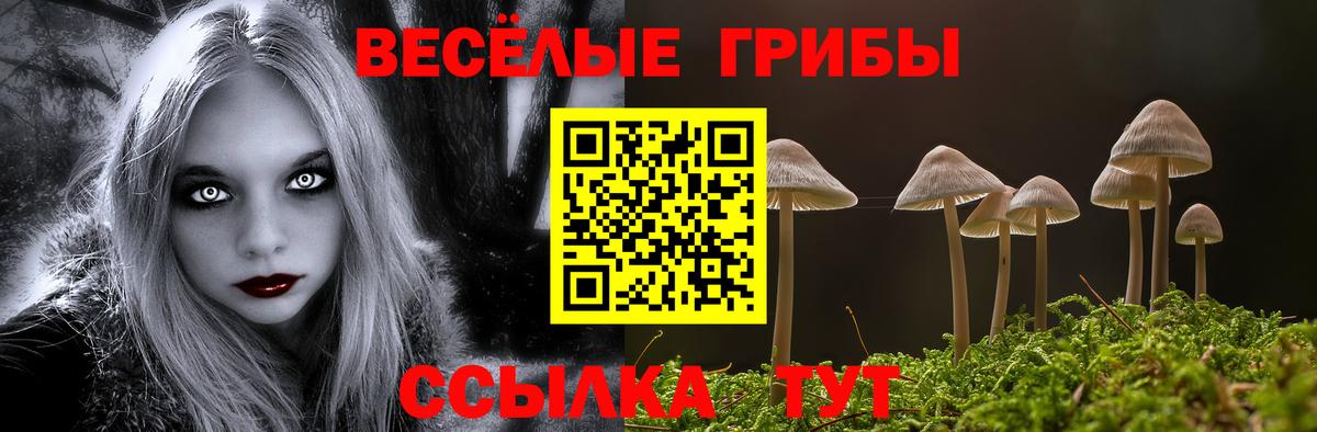 хочу   Псилоцибиновые грибы ЛСД  Вход с VPN  Тейково 